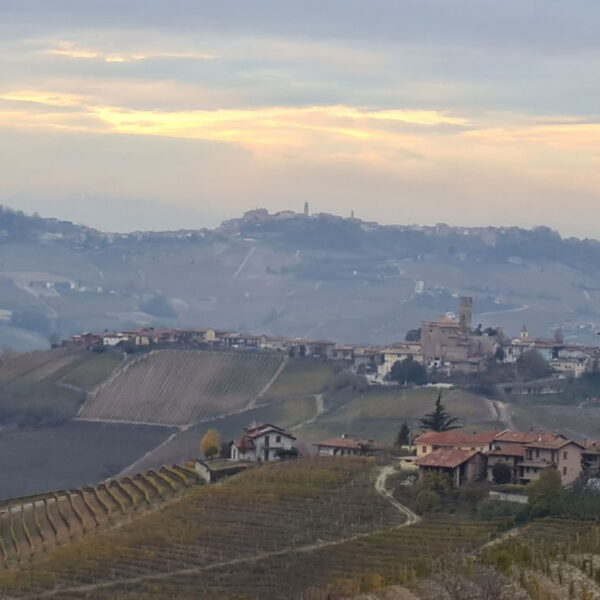 26 maart prachtig Piëmonte Proeverij26 maart prachtig Piëmonte Proeverij
