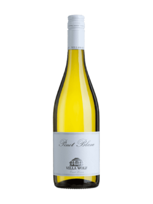 Villa Wolf Pinot Blanc