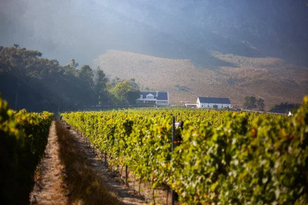 Masterclass Wildeberg FranschhoekMasterclass Wildeberg Franschhoek