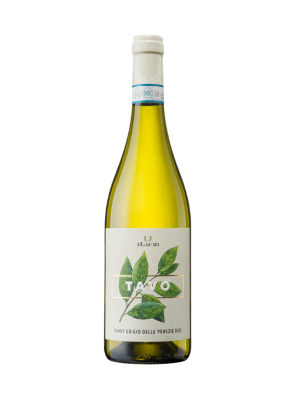 Ilauri Tavo Pinot Grigio [Veneto]Ilauri Tavo Pinot Grigio [Veneto]